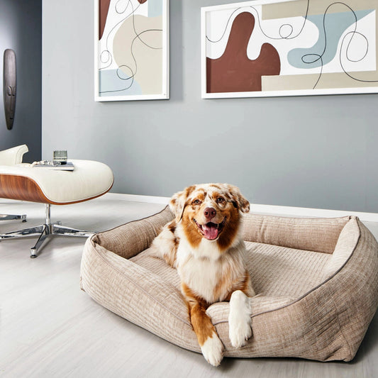 Nova Comfort