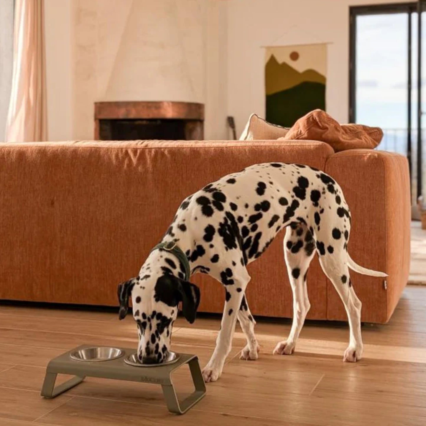 MiaCara - Desco Aluminio