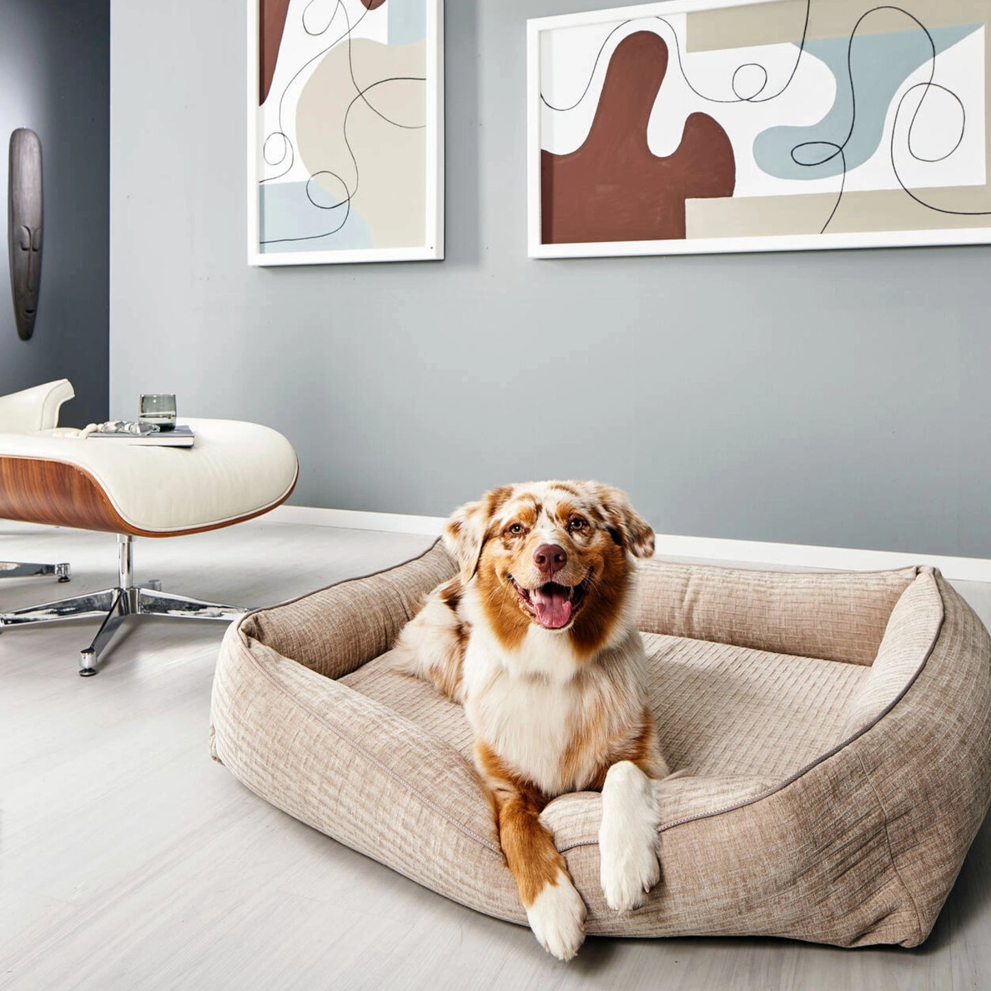 Nova Comfort