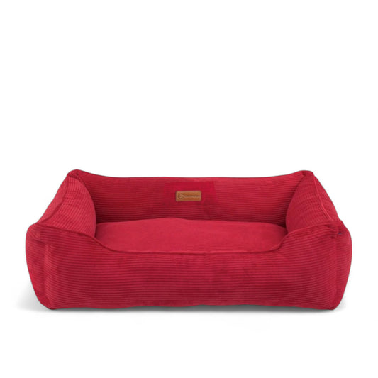 Dreamer Velvet Rojo